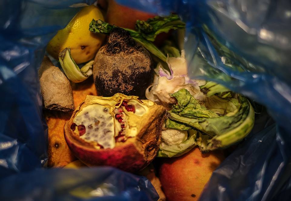 Food is not waste